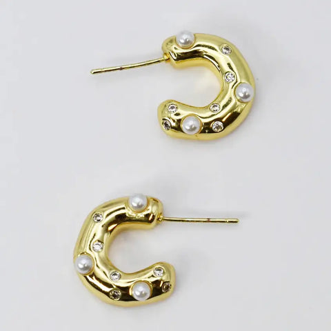 Gleaming Earrings