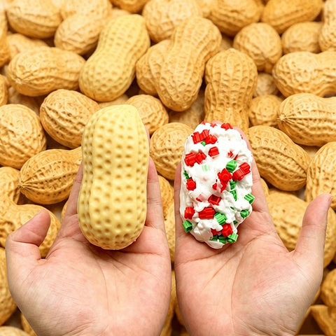 Peanut Crunchy Squishy