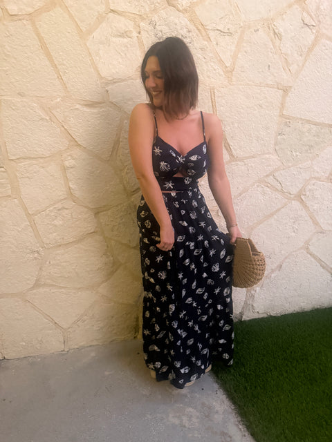 Seashells by the shore set