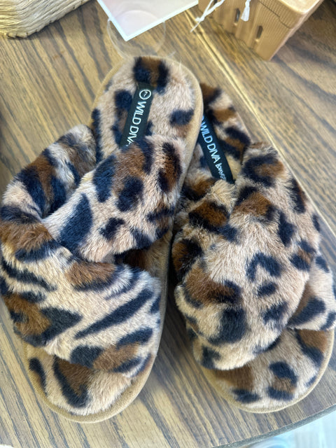Gollie Slippers