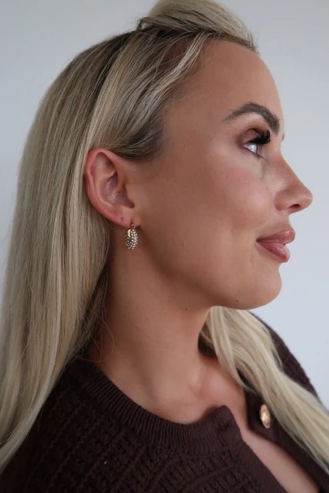 small diamond hoops