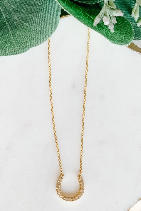 horseshoe necklace n-1805
